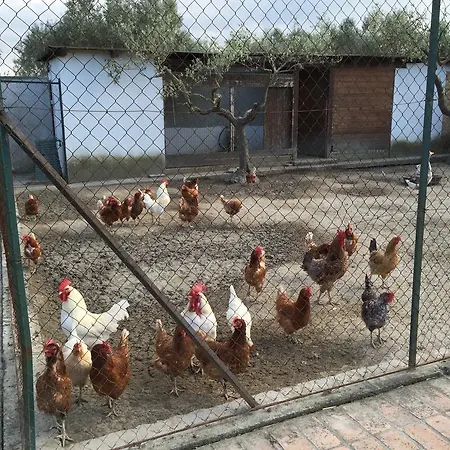 Terramore Ponticelli (Crotone)